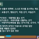 선거(민주주의의 꽃) 이미지