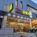 불타는갈매기 이미지