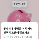 꽃돼지 티스토리