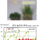 그린티엠 이미지
