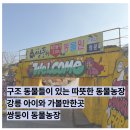 종만이농장 | 강릉 쌍둥이 동물농장 후기 강릉 아이와 가볼만한곳 소규모 동물농장 추천