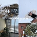 고창농원 | 고창 상하농원 파머스빌리지 겨울 폭설 방문 리얼 후기