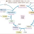 피트니스209 이미지