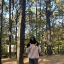 장수농장 | 목상동솔밭길 갔다가 김포곤충농장가서 장수풍뎅이 한쌍 분양받고 온 후기