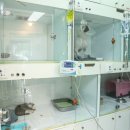 수성동물병원 이미지