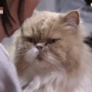 시선 민박 이미지