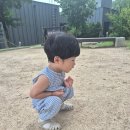 편의점사랑 봉담수기점 | 화성 아기랑 가볼만한곳 융건릉 산책! 23개월 아들 20분 만에 후퇴한 현실 후기 (ft. 주차/유모차)