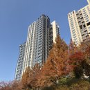 반포천 | [운동] 반포천에서 한강까지!! 초보자도 뛰기 좋은 서울 러닝 평지 코스