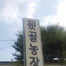 뒷골농장 이미지