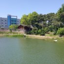 로그밸리 이미지