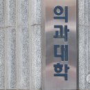 (주)아이비 25 이미지