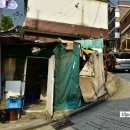 창신동 Daum카페