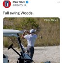 풀스윙골프클럽 이미지