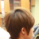 프리스타일 헤어샵 이미지