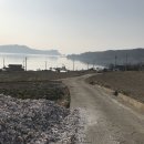 고창할머니경로당 | 서해랑길 진도 8코스- 운림산방 주차장에서 귀성삼거리(국립남도국악원)까지