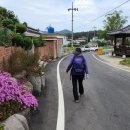 대곡공원 이미지
