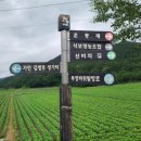석보교 네이버블로그