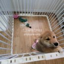 제이비팰리스 이미지