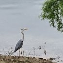 기흥농장 이미지