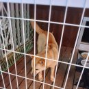 수룡모텔 이미지