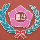 월산초등학교 이미지