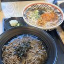 차박사 | 간호학과 박사과정 13주차~종강후기
