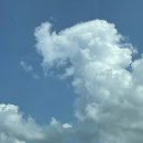 농장풀물 | 아산아기랑갈만한곳 평택핫플 온수풀 물놀이장, 체리마미농장 재방문을 부르는 곳