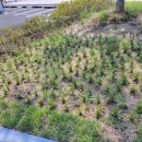 집현중학교 이미지