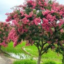 육신사(구) 이미지