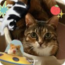 9月 9日 - 19日, 행집욕부