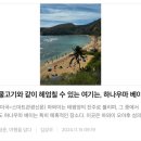 여행을담다 - 안산시 단원구 광덕2로 50-3 | 여행을담다