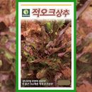 씨앗 - 남양주시 덕소로116번길 11 | 씨앗