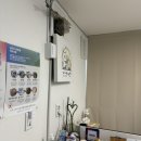 인생개컷 이미지