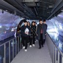완산-52 이미지