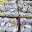 8월24일, 병어, 먹갈치, 참조기, 파조기, 민어회500g 냉동 참치...맛있게 드시고 건강하세요 이미지