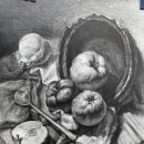 심원초등학교+중앙초등학교+미래유치원 | 인지미술예중예고 입시/애니웹툰만화전문미술/심원초등중등미술학원/신중동미술학원/위브미술/꿈마을...