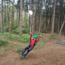 진골가든 이미지