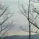 선석산 등산로 이미지