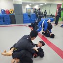 화랑합기도 주짓수 금촌도장 이미지