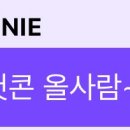 랑단 이미지