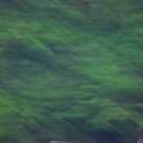 내리저수지 이미지