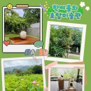 (재)경기문화재단 경기도미술관 | 🌿한여름의 호암미술관 "고요함 속에서 마주하는...여름정원 산책" 경기문화예술로 서클31 스탬프인증