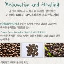 포레스트스파 이미지