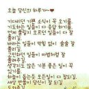 벗님들 Daum카페
