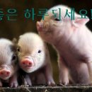 보고싶다친구야 - 논산시 | 보고싶다친구야