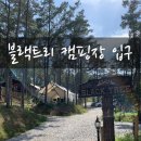 트리캠핑장 이미지