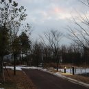 사랑의연리근 이미지