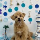 가위솔미용실