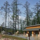 숲속의야영장 이미지