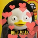 카페초록잎